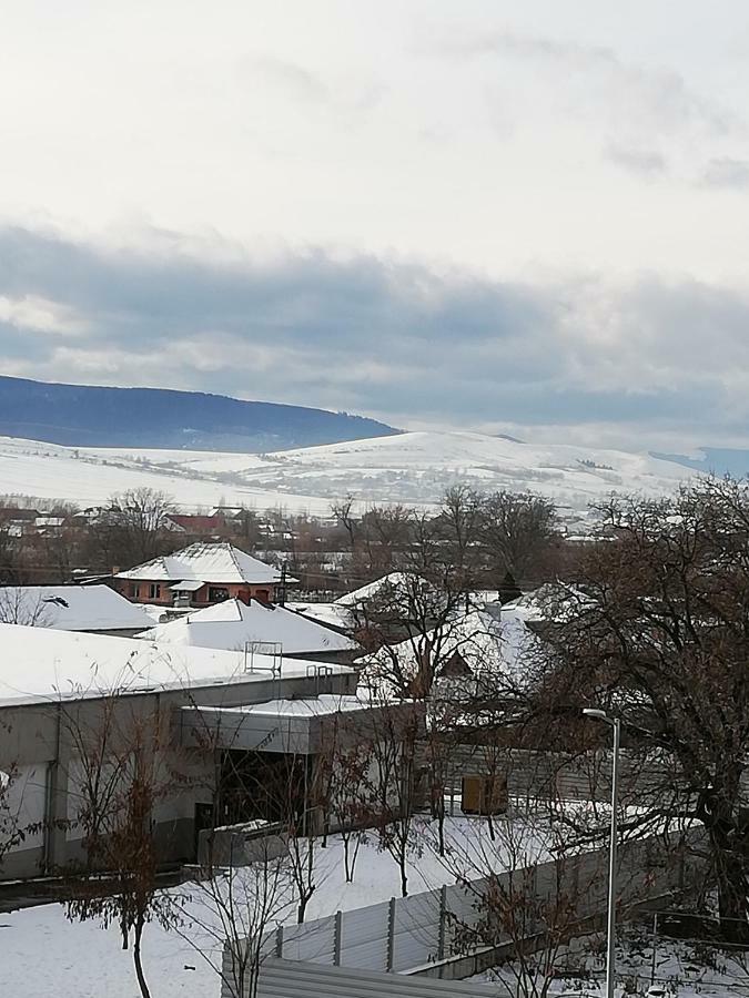 Pensiunea La Safari Târgu Neamţ Bagian luar foto
